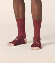 Cargar imagen en el visor de la galería, PEdALED Mirai Logo Socks - Sun Dried Tomato